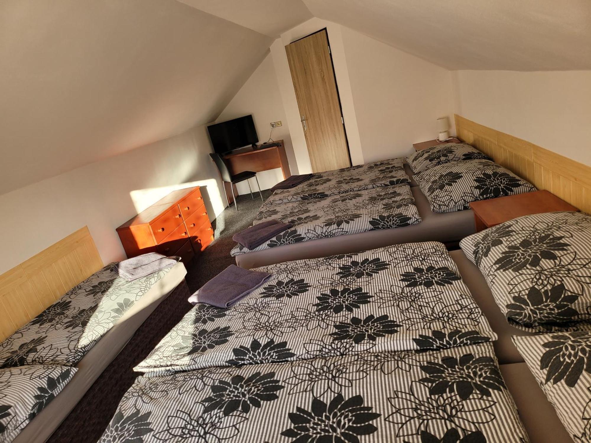 Penzion Karolina Lučany nad Nisou Buitenkant foto