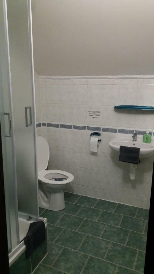 Penzion Karolina Lučany nad Nisou Buitenkant foto