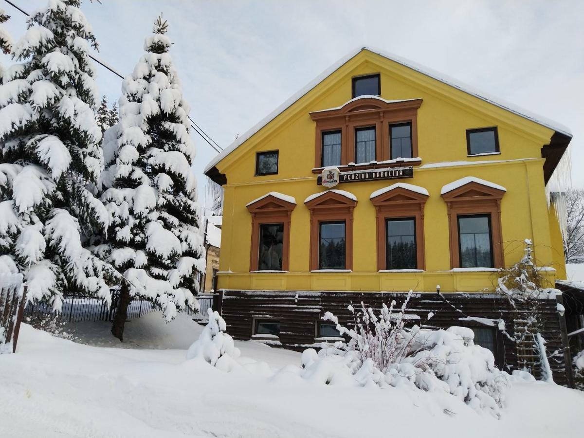 Penzion Karolina Lučany nad Nisou Buitenkant foto