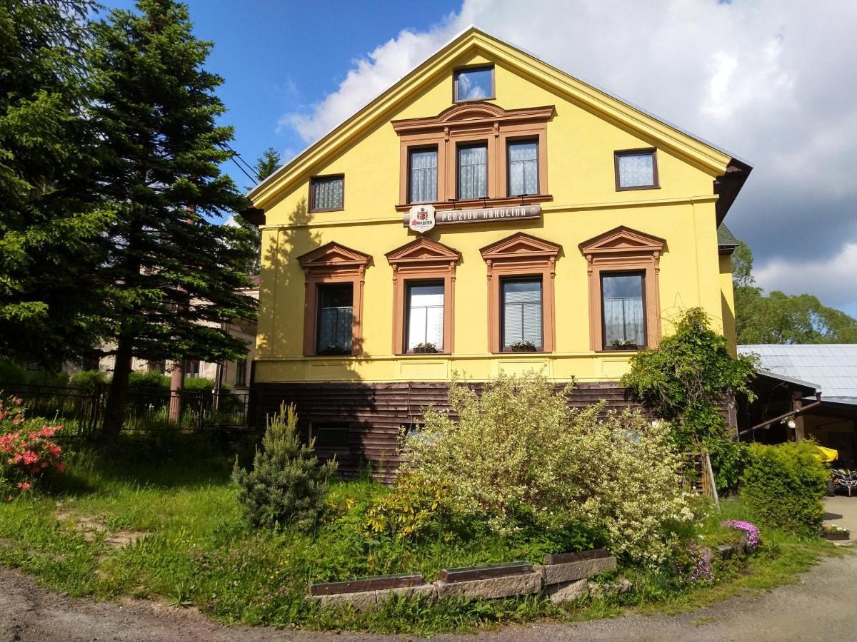 Penzion Karolina Lučany nad Nisou Buitenkant foto